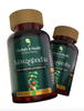 ASHWAGANDHA AMERICANO | ALTA CONCENTRACIÓN | 500 mg | 60 Cápsulas NUEVA FORMULA TOMA 2 AL DÍA .🎯 Controla el Estrés y Duerme Mejor . LLEVE 4 Y TE REGALAMOS 1 +
